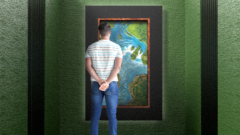 natureza viva 10