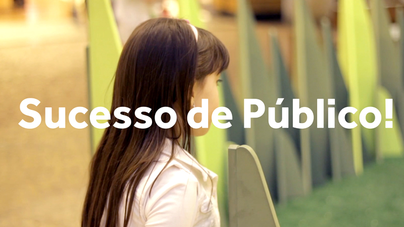 video insetos