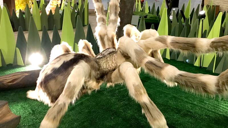 aranha