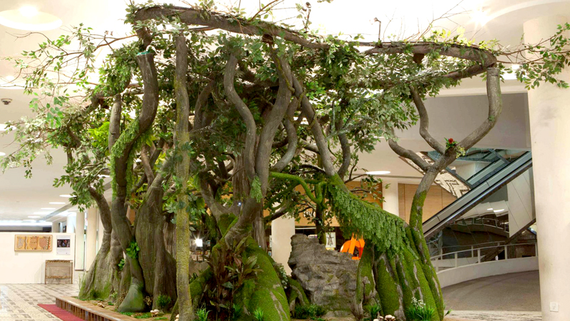 natureza viva 9
